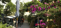 Casa Flore/ Orosei
