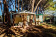 Camping Village Le Cernie, Lotzorei ,,&nbsp;&nbsp;