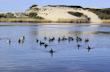 SA FIORIDA I / LA CIACCIA ,Strand, san pietro 